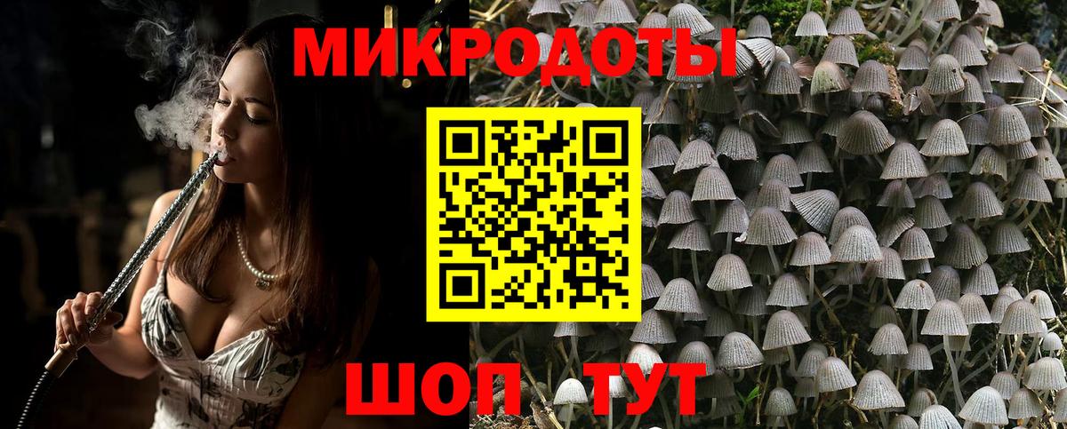 Галлюциногенные грибы мицелий Бор