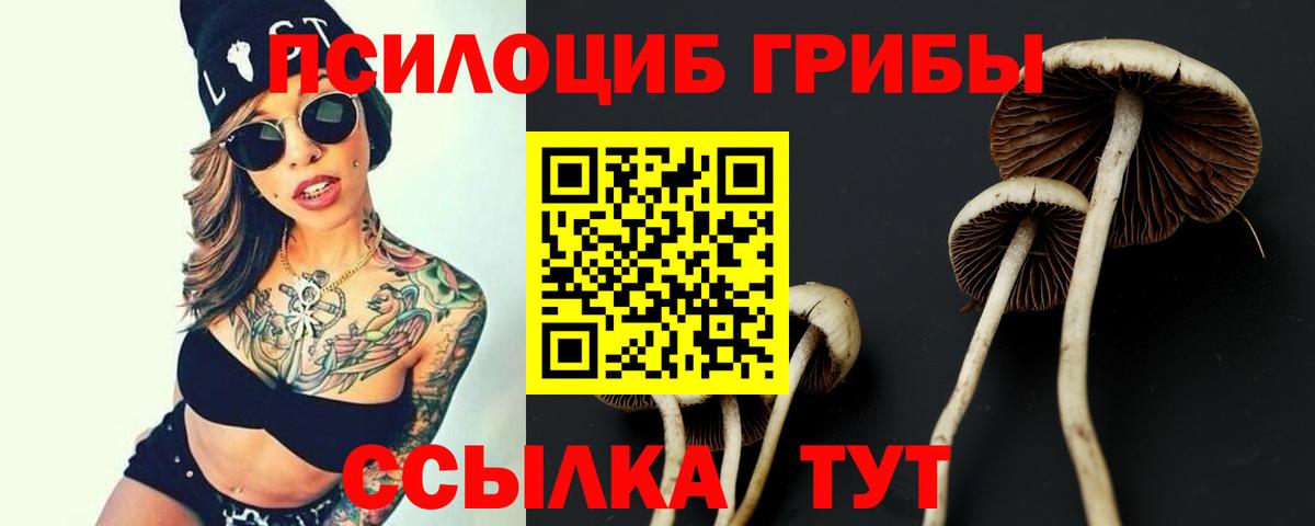 Галлюциногенные грибы Psilocybine cubensis  Вход с VPN  Бор 